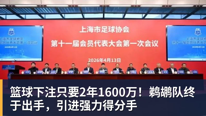 篮球下注只要2年1600万!鹈鹕队终于出手,引进强力得分手